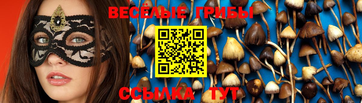 Грязи  Галлюциногенные грибы Psilocybe  Вход с VPN 
